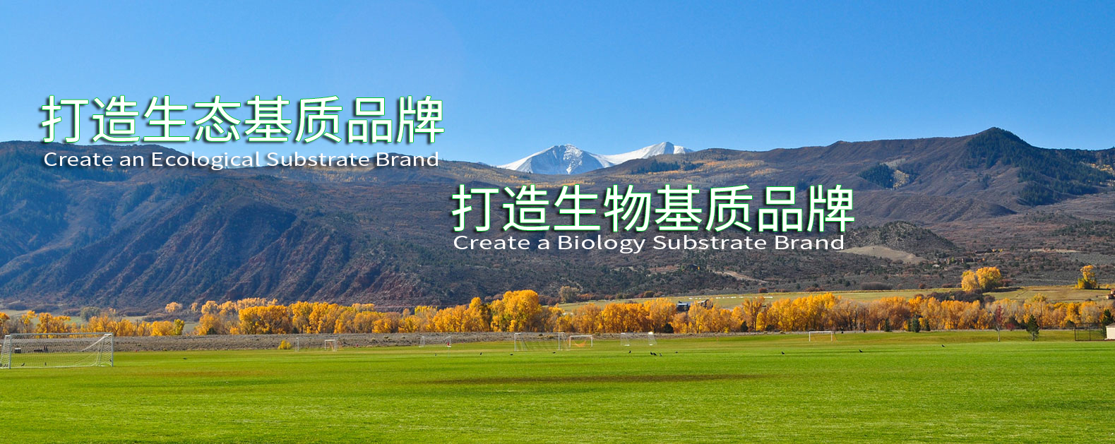 中国·BB贝博艾弗森(股份)有限公司-官方网站
