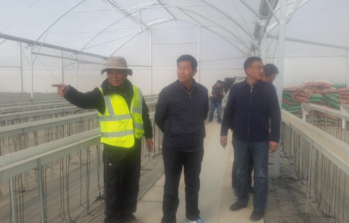 中国·BB贝博艾弗森(股份)有限公司-官方网站