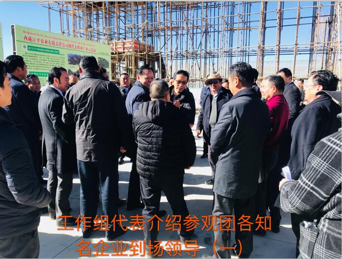 中国·BB贝博艾弗森(股份)有限公司-官方网站