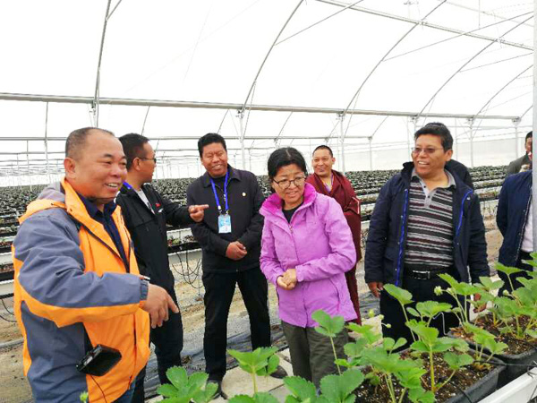 中国·BB贝博艾弗森(股份)有限公司-官方网站