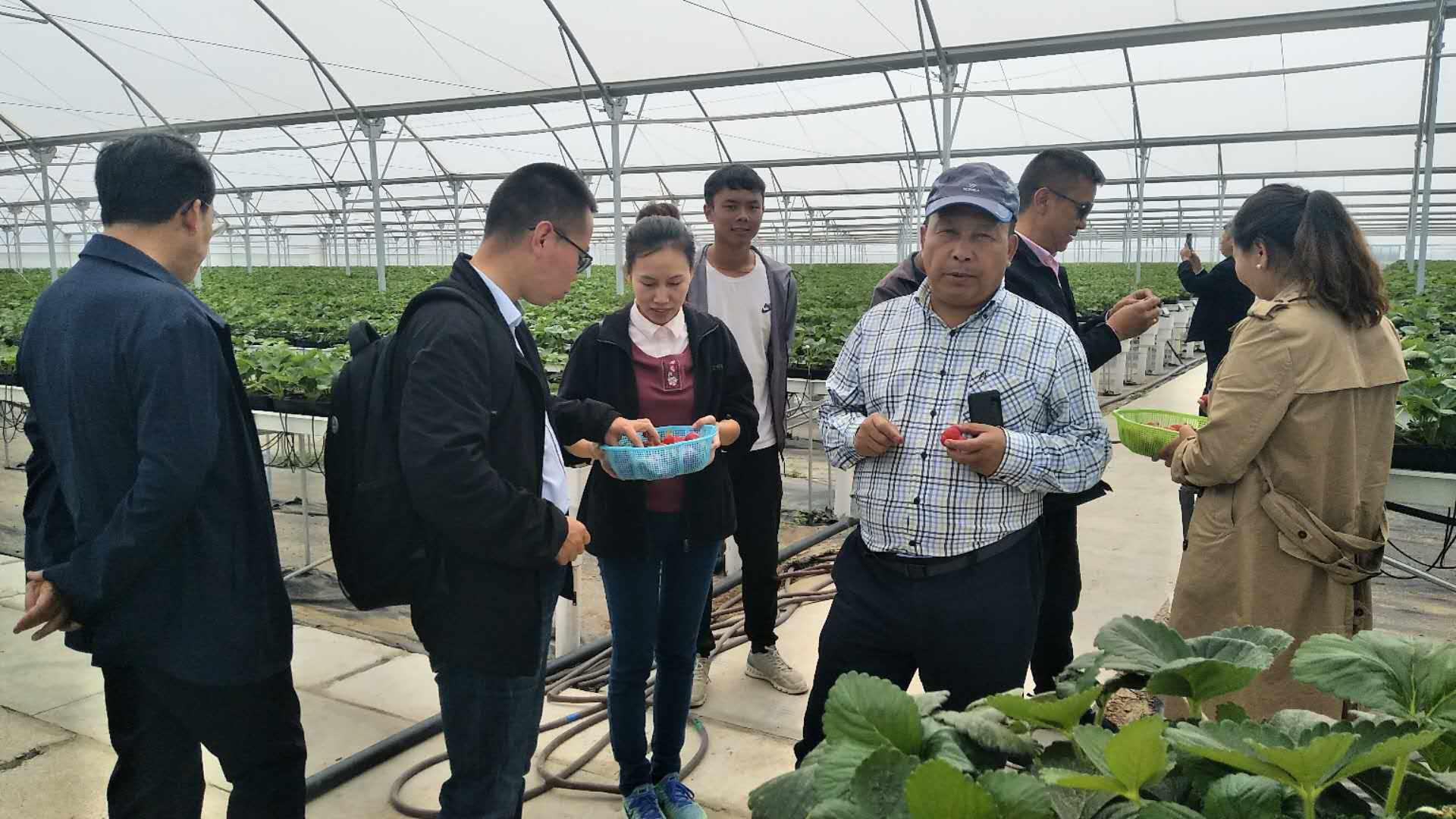中国·BB贝博艾弗森(股份)有限公司-官方网站