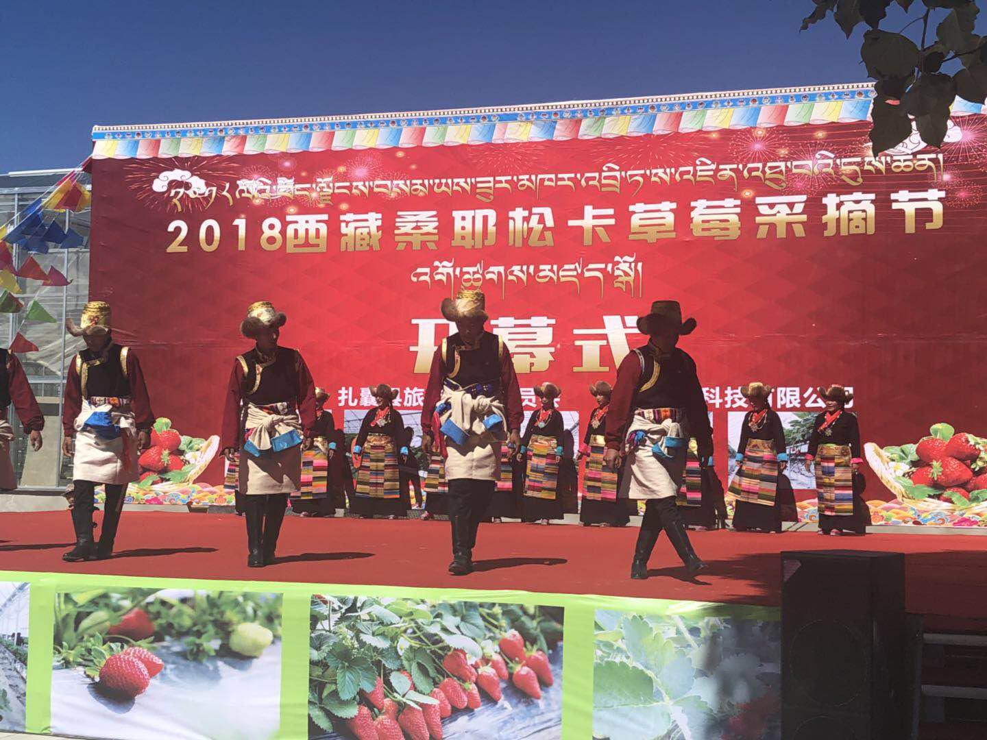 中国·BB贝博艾弗森(股份)有限公司-官方网站
