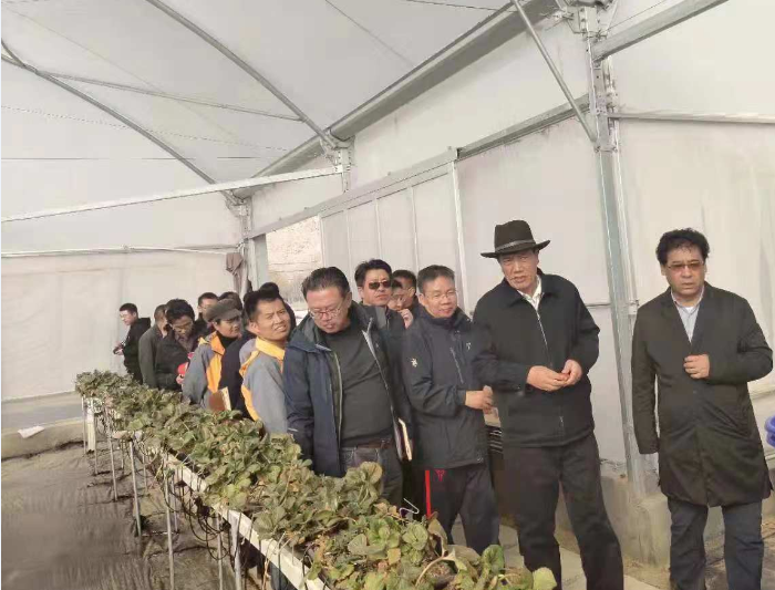 中国·BB贝博艾弗森(股份)有限公司-官方网站