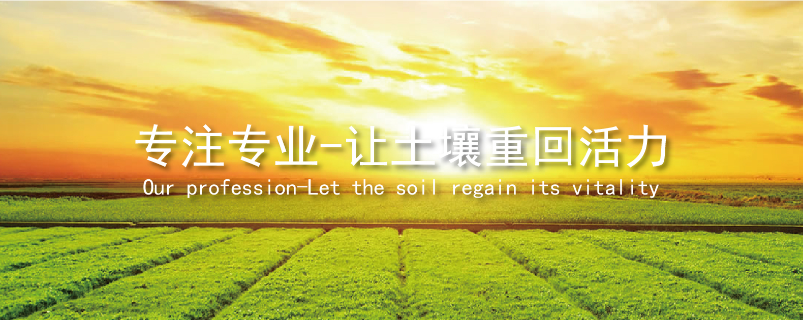 中国·BB贝博艾弗森(股份)有限公司-官方网站