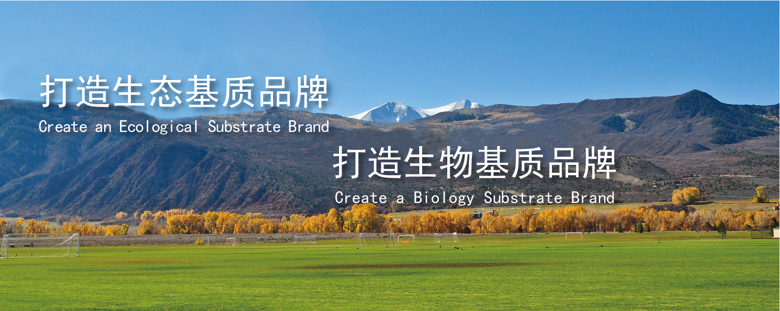 中国·BB贝博艾弗森(股份)有限公司-官方网站