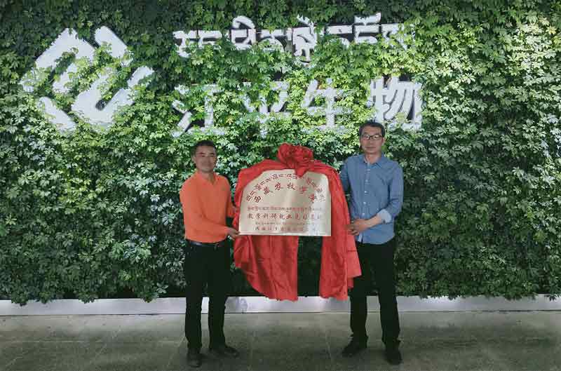 中国·BB贝博艾弗森(股份)有限公司-官方网站