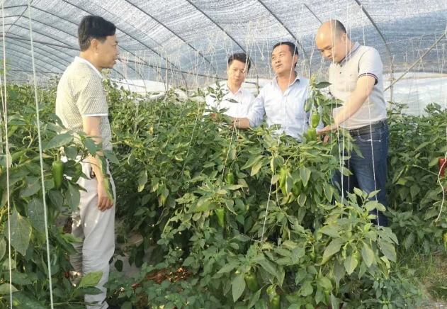 中国·BB贝博艾弗森(股份)有限公司-官方网站