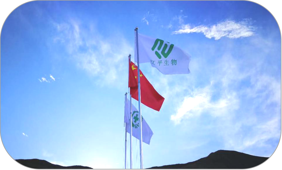 中国·BB贝博艾弗森(股份)有限公司-官方网站