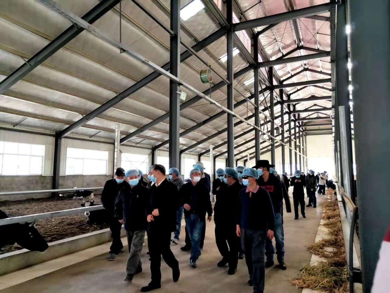 中国·BB贝博艾弗森(股份)有限公司-官方网站