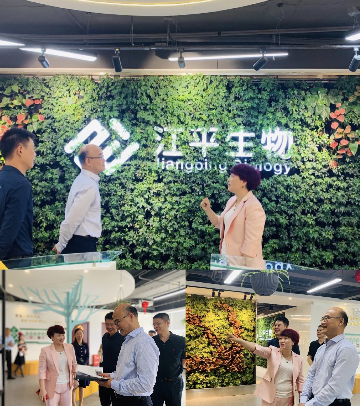 中国·BB贝博艾弗森(股份)有限公司-官方网站