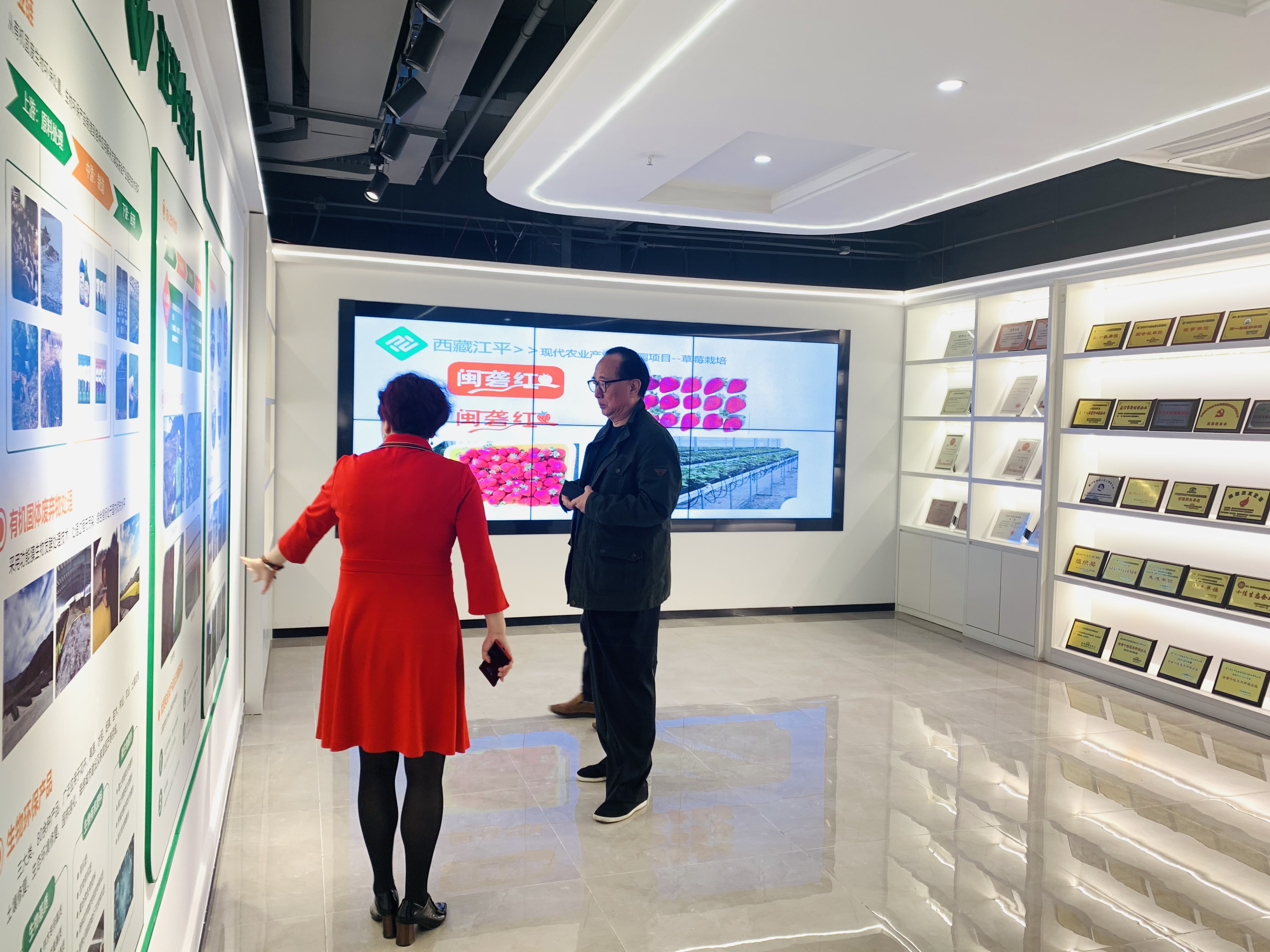 中国·BB贝博艾弗森(股份)有限公司-官方网站