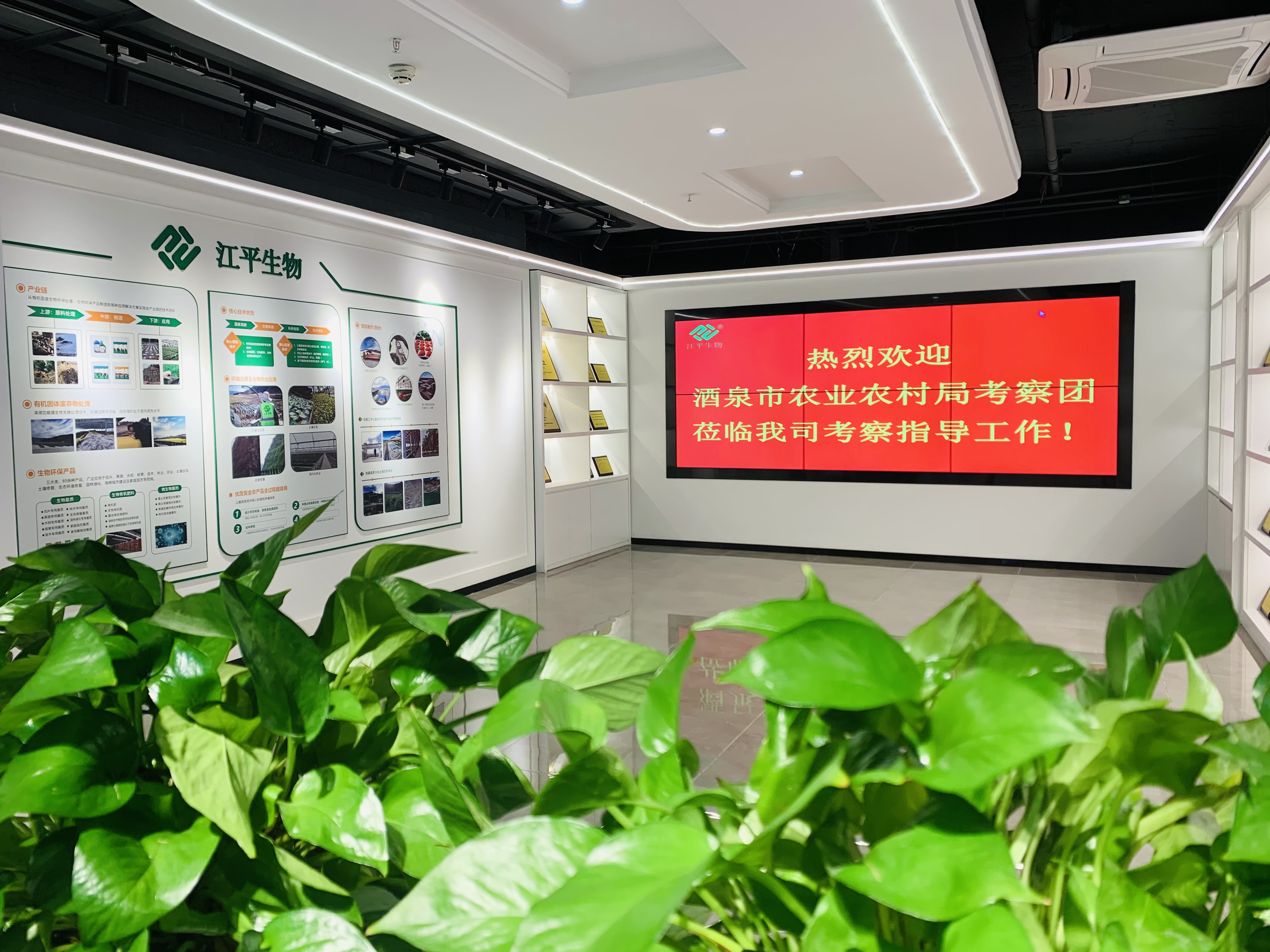 中国·BB贝博艾弗森(股份)有限公司-官方网站