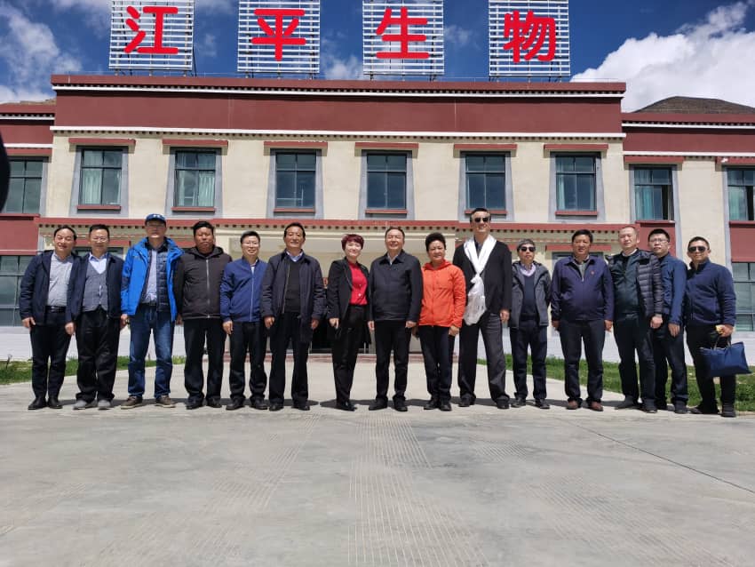 中国·BB贝博艾弗森(股份)有限公司-官方网站