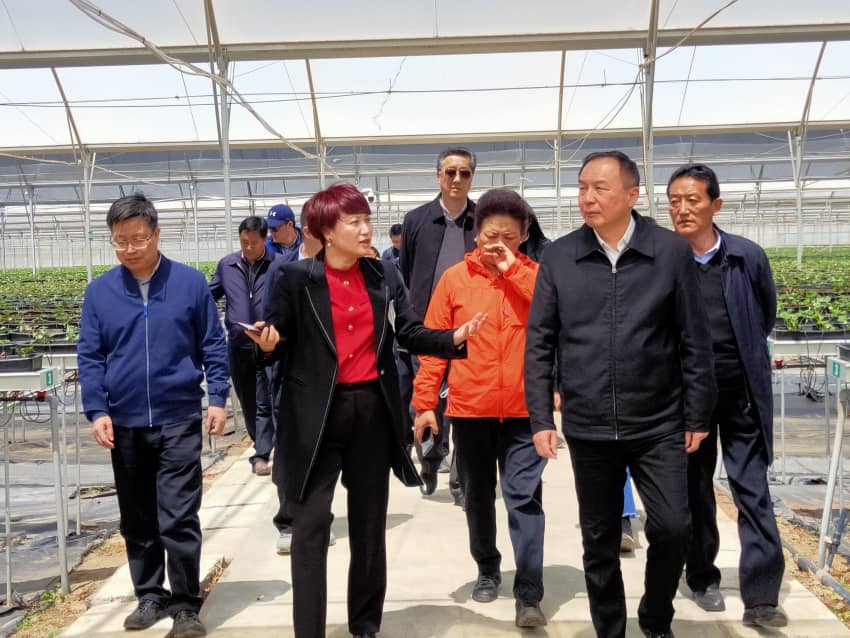 中国·BB贝博艾弗森(股份)有限公司-官方网站