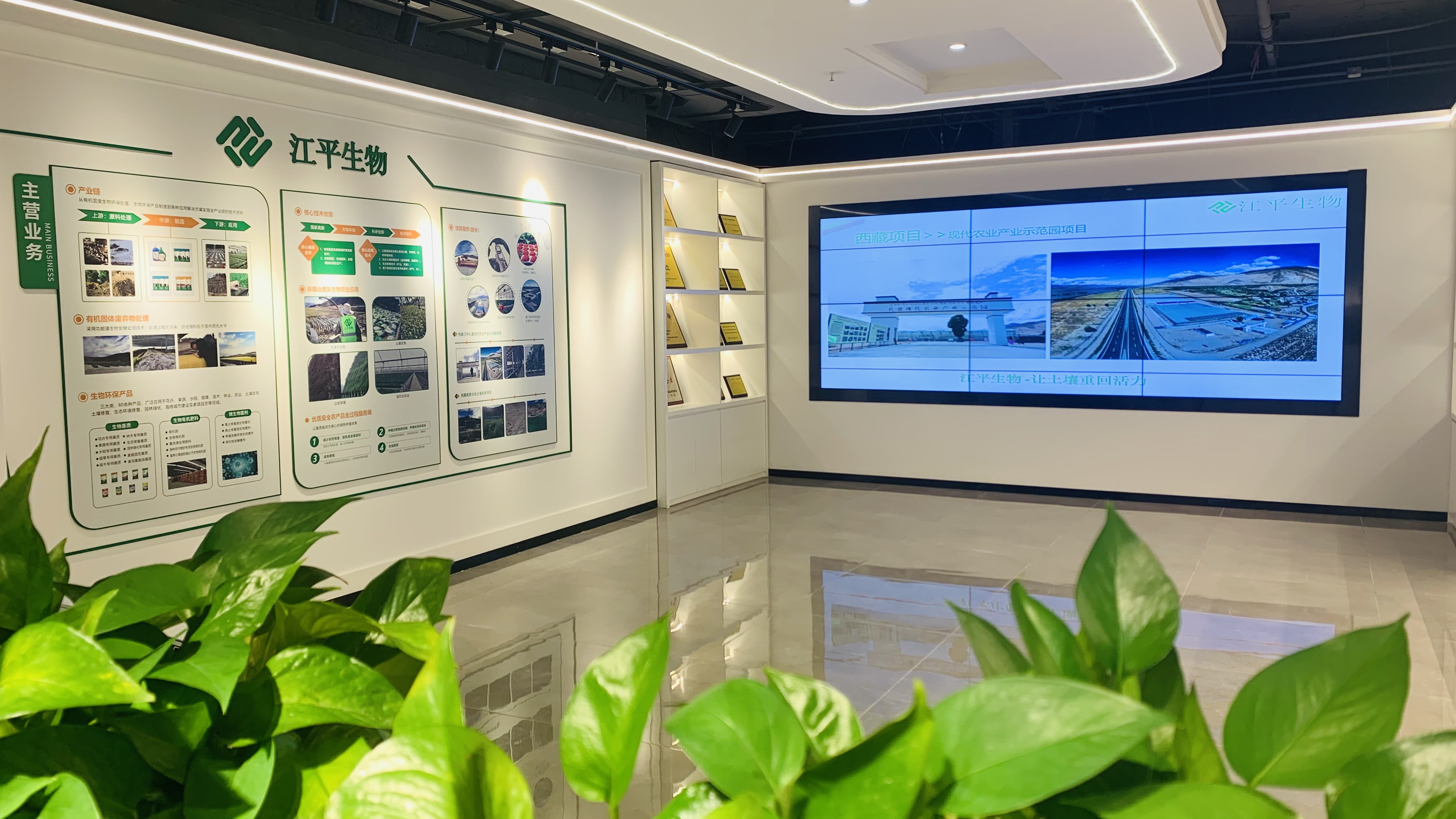 中国·BB贝博艾弗森(股份)有限公司-官方网站
