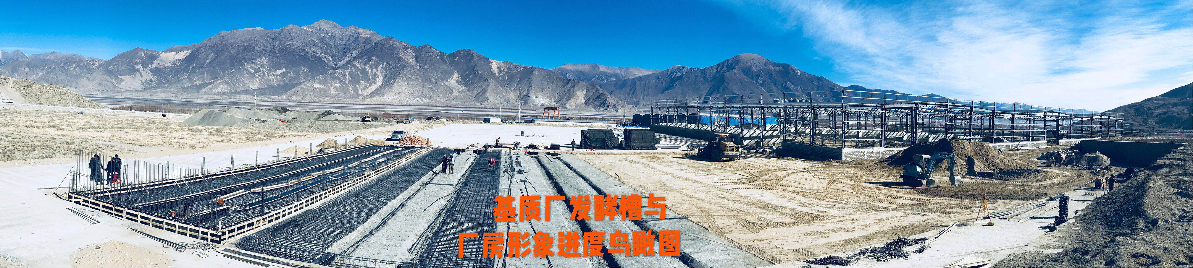 中国·BB贝博艾弗森(股份)有限公司-官方网站