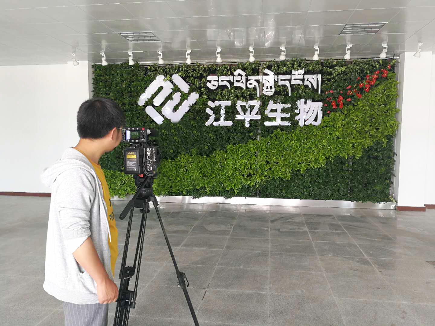 中国·BB贝博艾弗森(股份)有限公司-官方网站