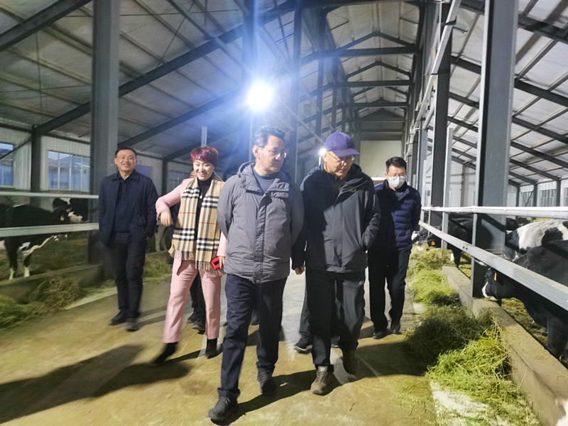 中国·BB贝博艾弗森(股份)有限公司-官方网站