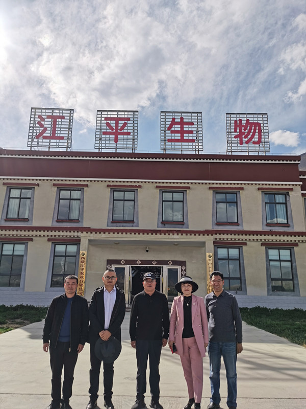中国·BB贝博艾弗森(股份)有限公司-官方网站