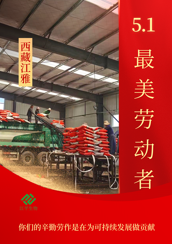 中国·BB贝博艾弗森(股份)有限公司-官方网站