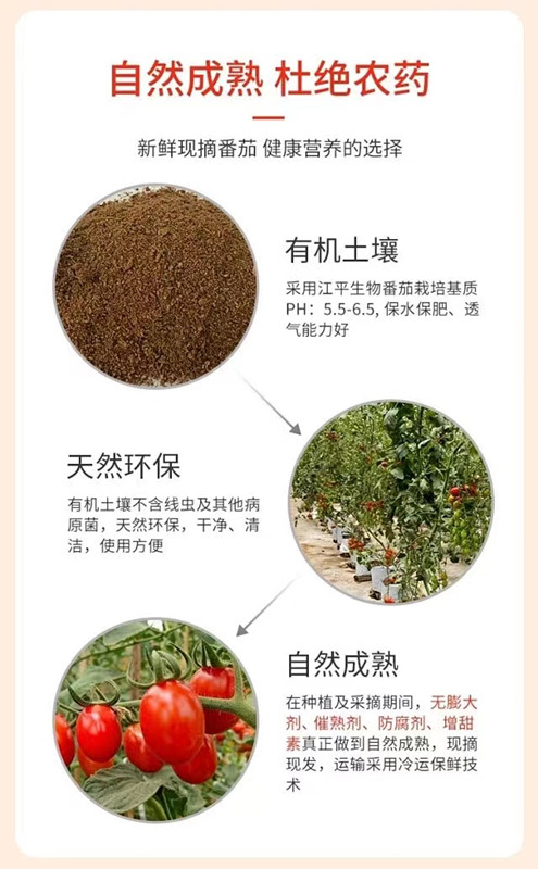 中国·BB贝博艾弗森(股份)有限公司-官方网站