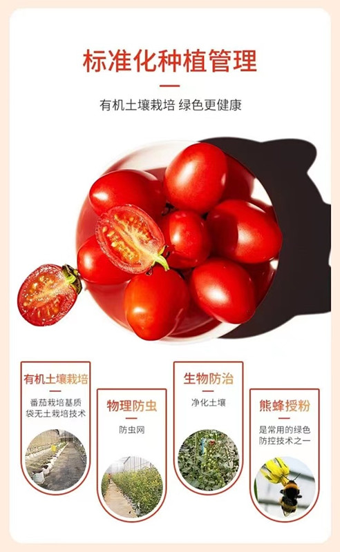 中国·BB贝博艾弗森(股份)有限公司-官方网站