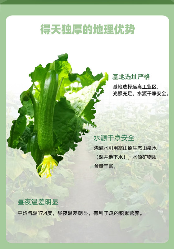 中国·BB贝博艾弗森(股份)有限公司-官方网站