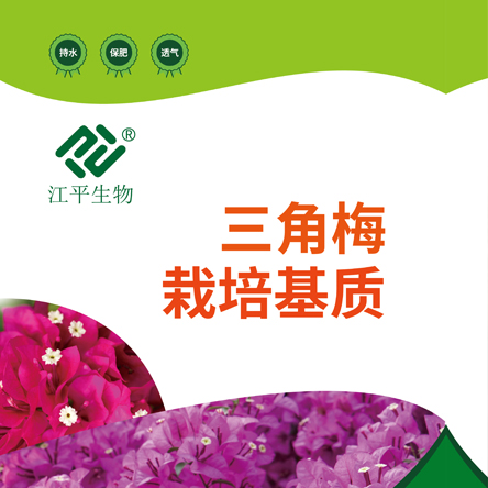 中国·BB贝博艾弗森(股份)有限公司-官方网站