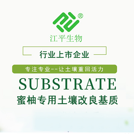 中国·BB贝博艾弗森(股份)有限公司-官方网站