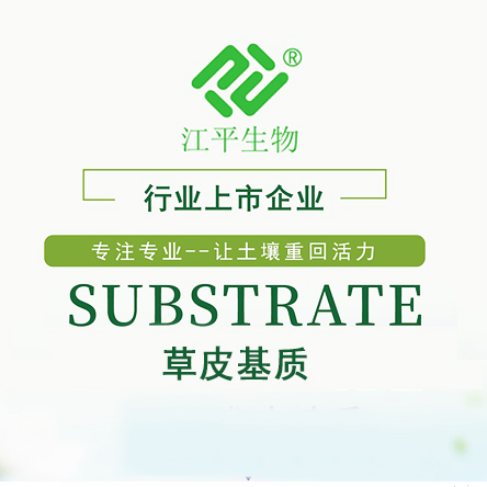 中国·BB贝博艾弗森(股份)有限公司-官方网站