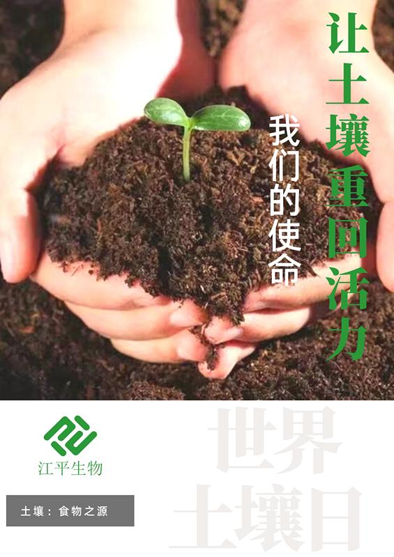 中国·BB贝博艾弗森(股份)有限公司-官方网站