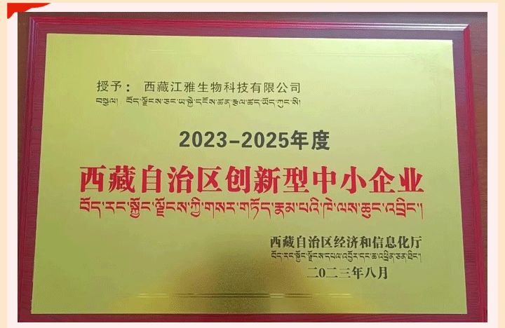 中国·BB贝博艾弗森(股份)有限公司-官方网站